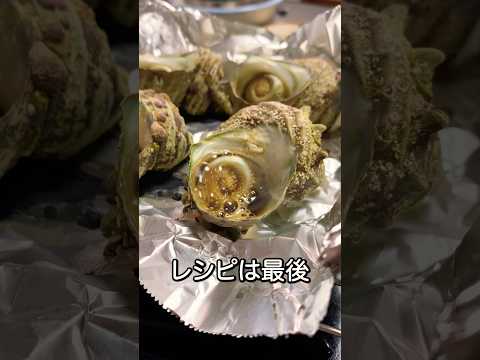 【ご近所からのおすそわけ】おっちゃんがくれたサザエが、人生最高の味になった日。