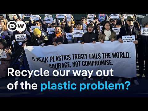 Why are plastic industry lobbyists at the UN talks on plastic pollution in South Korea? | DW News