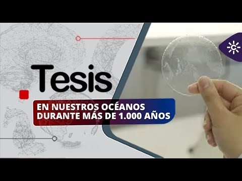 Tesis | Bioplásticos, una alternativa de futuro