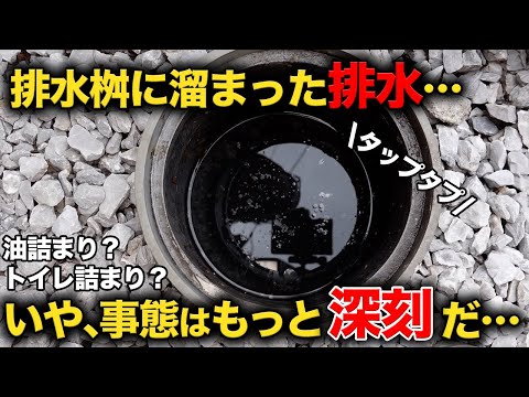 これは何だ？コンクリート！？築８年でもこうなってしまう！！【花のお掃除 #312】