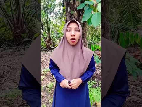 sarang lebah adik #funny #comedy #shorts