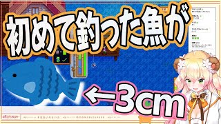 【桃鈴ねね・獅白ぼたん】3センチのイワシを大事そうに掲げるねねちがかわいいw