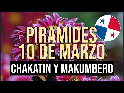 Pirámide Lotería de Panamá Domingo 10 de Marzo 2024  Pirámide de Chakatin y Makumbero