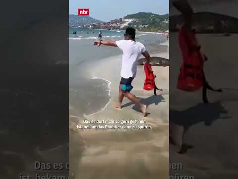 Wie hättet ihr reagiert? #ntv #nachrichten #fürallediefragenhaben #shorts