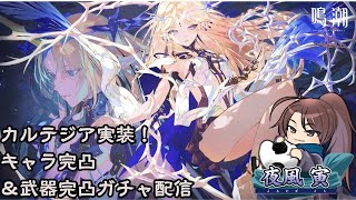【鳴潮-Wuthering Waves-】カルテジア実装記念！キャラ＆武器完凸配信！！！【夜風寅】【初見さんもお気軽に！】【個人/男性/Vt