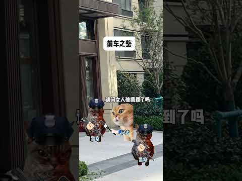 猫の動画サムネイル - 吃一堑长一智#有趣 #猫meme #猫meme剧场 #猫meme小剧场 #内容过于真实  #故事 #貓 #猫猫meme小剧场 #喵不可言