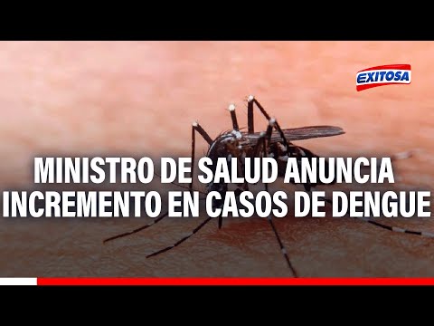 Ministro de Salud anuncia incremento en casos de dengue en el país
