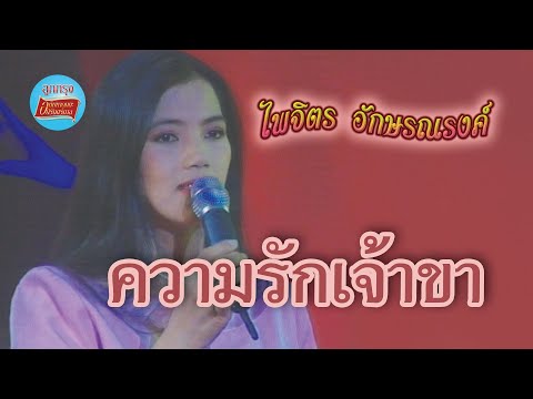 ความรักเจ้าขา-จุ๋งไพจิตรอั