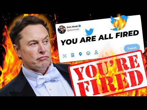 Elon Musk Just FIRED The Twitter Board!