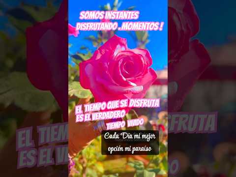 Hay 2 cosas que se enfrían por descuido el café ☕️y el amor la vida son instantes,no pasan 2 ves💫