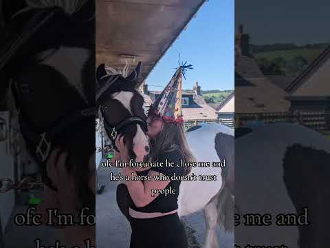 heart horse always🐎🐎 #horse #horses #cob #equestrian #equestrians #equine #horseriding #horserider