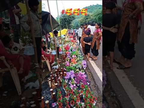 #trendingshorts #beautiful 🥰🥰#ranthambore