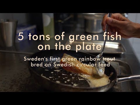 Five tons of green fish on the plate