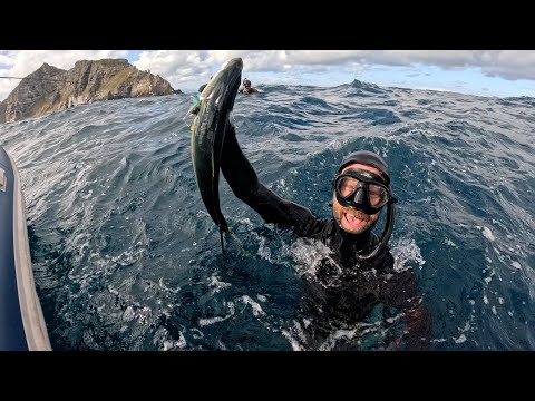 Mystic Cape Point Tail Mission
