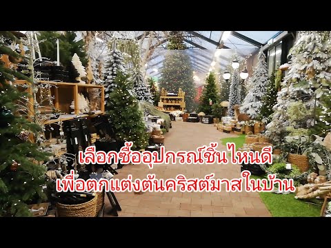 Panita ป้าอ้อน Aonna Norway. พาซื้อสินค้าอุปกรณ์และชมแนวทางการจัดต้นคริสต์มาส​ChristmasTr