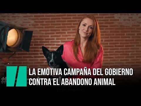 Cristina Castaño protagoniza la emotiva campaña del Gobierno contra el abandono de animales