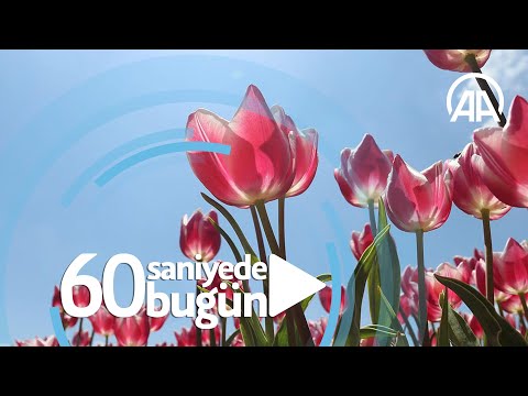 60 saniyede bugün (02 Mayıs 2021)