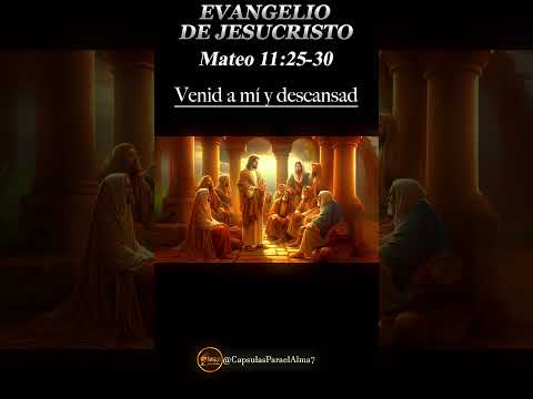 EVANGELIO DE HOY  Viernes 26 de Julio 2024 ? Reflexio?n, Mensaje y Bendicio?n del Di?a