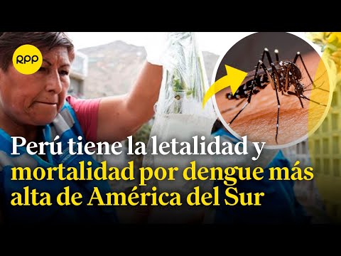 Dengue: Perú es el país que tiene la letalidad y mortalidad más alta de América del Sur