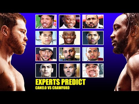 20+ PROS PREDICT Canelo vs Crawford: Gervonta, Shakur, Bradley, Roy, Ryan & More