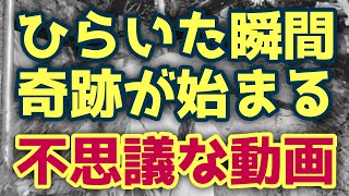 動画サムネイル