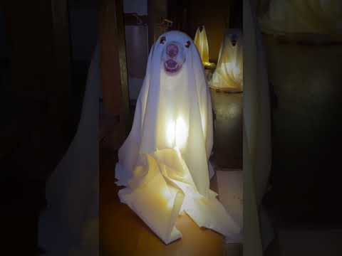 3頭の大型犬お化けがいる廊下を歩いてみた… #shorts