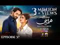 Humrahi Episode 37 [Eng Sub] Digitally Presented by Happilac Paints & Sunsilk  1st August 2026
