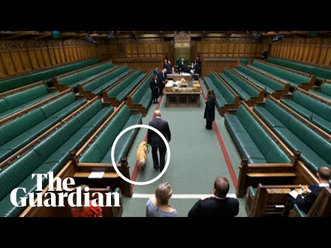 Steve Darling sworn in as MP for Torbay accompanied by his guide dog