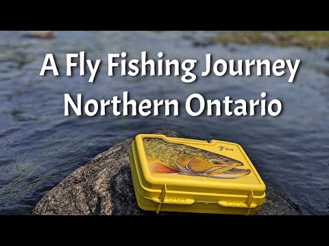 A Fly Fishing Journey Across Ontario