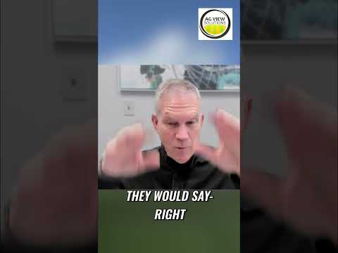 AI Now Builds Vendor Management Software on Demand