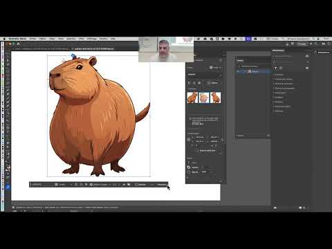 STY 008 Le stylisme de mode SESSION C part 02 avec ADOBE ILLUSTRATOR 2027, un cours complet   PETIT