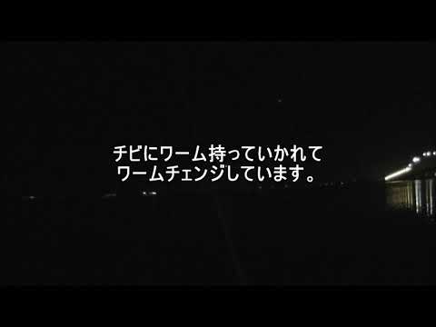 琵琶湖バス釣り、釣れない時はセコい釣り？