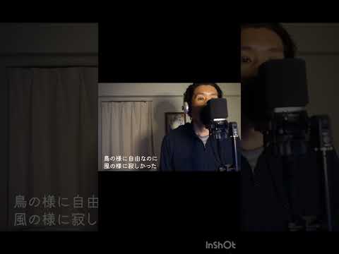 『キャンバス』 平井堅 カバー⑧  伊藤文博　#歌ってみた #shorts #平井堅 #キャンバス #カバー