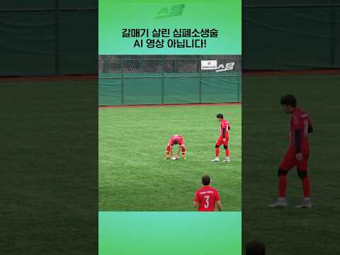 골키퍼가 찬 공에 갈매기가...!