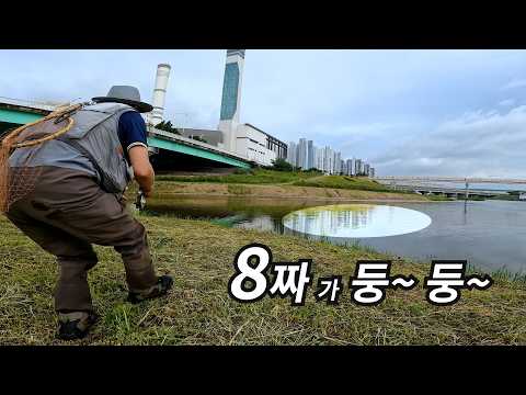 (Rising carp are  easy to catch)- 2026 <strong>fly</strong> fishing EP8(Carp <strong>On</strong> <strong>The</strong> <strong>Fly</strong> 잉어 플라이 낚시)
