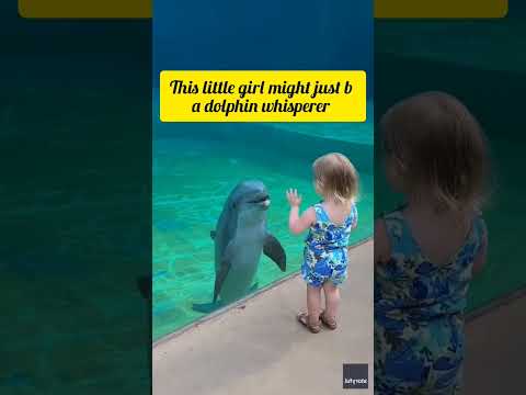Little_girl_and_super_social_dolphin_stop_to_have_a_sweet_chat___Humankind_#shorts_#goodnews #shorts
