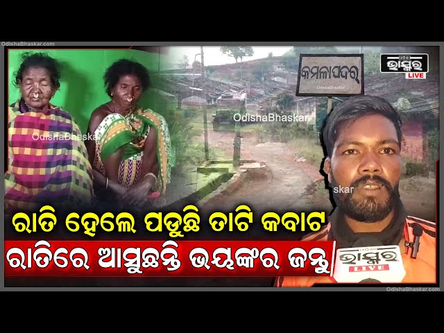 ବିଜୁଳି ନଥିବାରୁ ସଂନ୍ଧ୍ୟା ହେଲେ ରାଜୁତି କରୁଛି ଅନ୍ଧାର...ବନ୍ୟ ପ୍ରାଣୀଙ୍କ ଭୟରେ ସଂନ୍ଧ୍ୟା ହେଲେ ପଡୁଛି ତାଟି କବାଟ