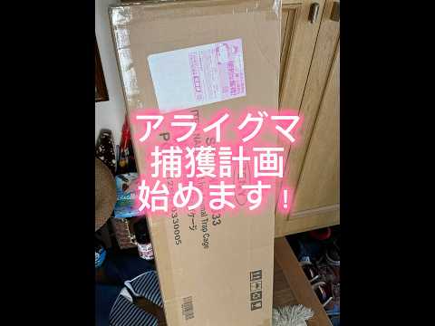 捕獲器購入した。#shorts #害獣 #アライグマ #ラスカル #ハンターライフ