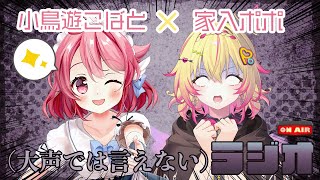 (大声では言えない)ラジオ with 小鳥遊こばと【家入ポポ / ななしいんく】