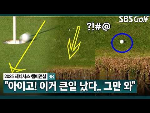 [2025 KPGA] 그만! 그마안~~ 한목소리로 외치는 갤러리! 시그니처 홀에서, 계속 굴러가는 임성재 볼_제네시스 챔피언십 3R