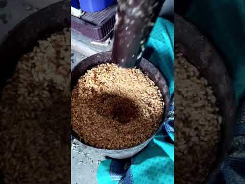 जय हो छठी माई 🙏🌞🙏