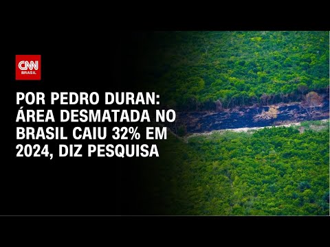 ​Área desmatada no Brasil caiu 32% em 2024, diz pesquisa | CNN NOVO DIA