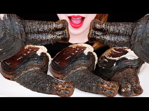 ASMR <strong>GIANT</strong> GEODUCK EATING SOUNDS MUKBANG SEAFOOD