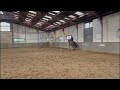 حصان الفروسية NIEUWE VIDEO! Goed bewegende sport merrie