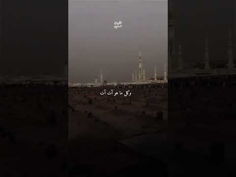 على ماذا تقاتلون وتحاربون في نهاية الطريق ستكون تحت التراب مهما بلغت من العزة والثروة والجاه #moham