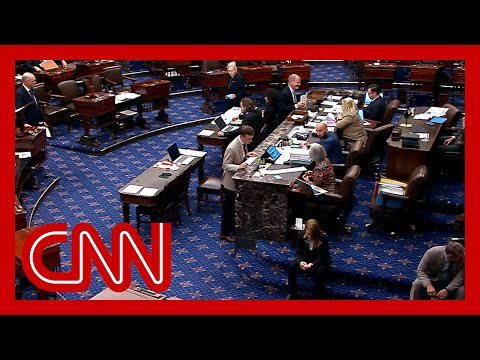 Senate 'vote-a-rama' debates Trump megabill changes, inches closer to final vote