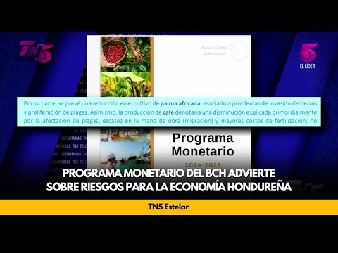 Programa monetario del BCH advierte sobre riesgos para la economía hondureña