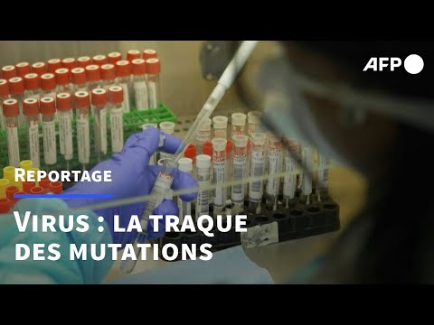 Covid: à l'hôpital Henri-Mondor, on traque les mutations du virus | AFP