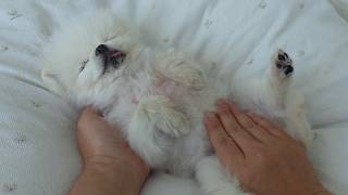 動画サムネイル