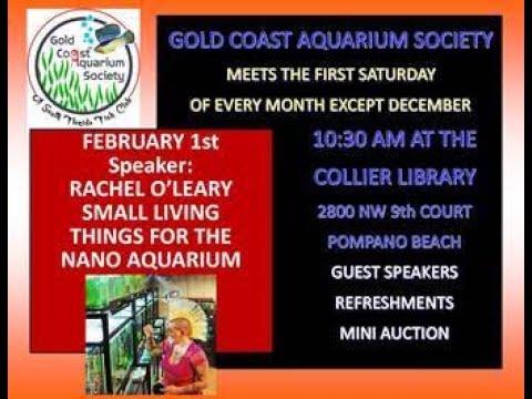 Gold Coast Aquarium Society Club Meeting February  Gold Coast Aquarium Society Club Meeting February 2020 Special Guess Rachel O'Leary